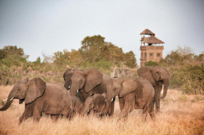 Babs' Camp, A Tent with a View Safaris